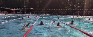 Triathleten beim Schwimmen
